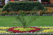44-Timisoara,2 agosto 2011